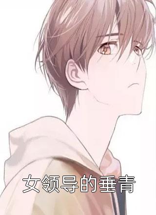 梁上君子写的小说女领导的垂青最新阅读