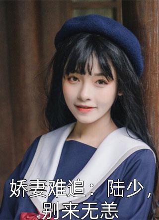 《娇妻难追：陆少，别来无恙》完结小说(全文在线阅读)