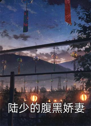 陆少的腹黑娇妻南珂梦小说全章节最新阅读