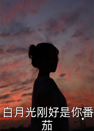 新上小说白月光刚好是你番茄青耳最新章节阅读