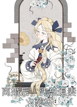 红叶海棠写的小说离婚后，沈总追妻火葬场小说全文阅读