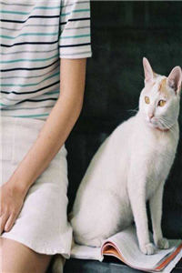 厉爷的小娇妻又作妖了！大结局小说-宋锦书厉卿川全章节阅读