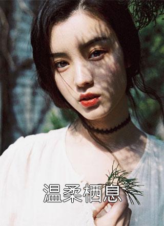 温柔栖息全本小说（温柔栖息）全文阅读