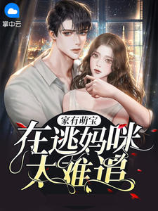 家有萌宝：在逃妈咪太难追免费小说开水烫青蛙全文阅读