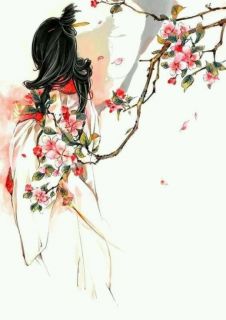 《今夕何夕，君已陌路》完结小说(全文在线阅读)