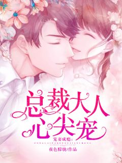 宠妻成瘾：总裁大人心尖宠by夜色朦胧在线阅读