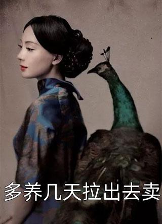 多养几天拉出去卖叶染衣小说免费阅读