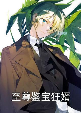 渡厄方舟写的小说至尊鉴宝狂婿最新阅读