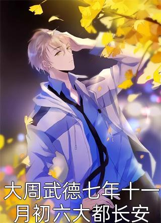 大周武德七年十一月初六大都长安小说全文黄河落日圆免费阅读