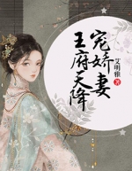 小说王府天降宠娇妻步可衣夏侯念完结版全文免费阅读