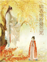 锦衣情断爱荒芜苏芷南珺琦小说_锦衣情断爱荒芜完结版阅读