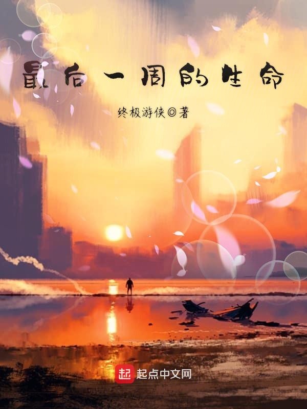 夏心纪辰江以川最新小说全文阅读