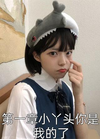 爆款小说苏若木《第一章小丫头你是我的了》在线阅读