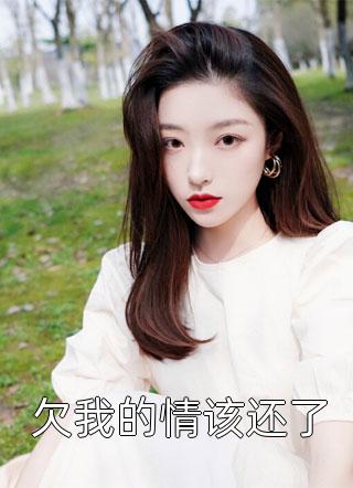 欠我的情该还了by丢了一只龙在线阅读