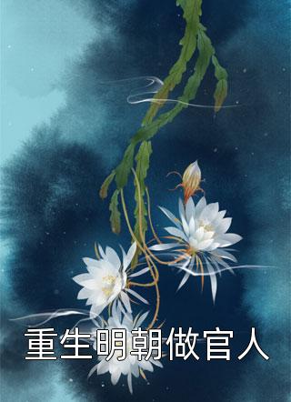 《重生明朝做官人》完结小说(全文在线阅读)