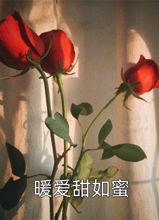 《暖爱甜如蜜》完结小说(全文在线阅读)