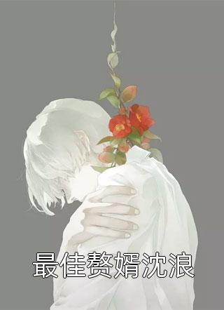 最佳赘婿沈浪免费小说沉默的糕点全文阅读