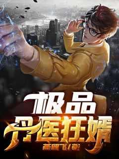 极品丹医狂婿燕留飞在线阅读-极品丹医狂婿全文免费阅读