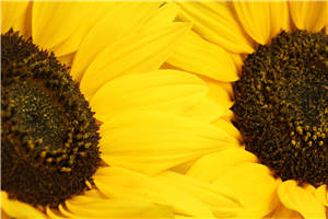 好看的小说《苏晴秦北阳第一次相亲》最新章节阅读