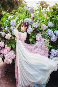 三宝求情妻莫怪(第四章)慕安歌容凌全本免费小说阅读