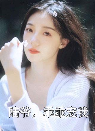 陆爷，乖乖宠我全文阅读 豆豆章节阅读