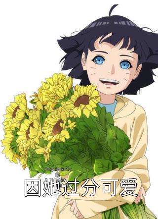 因她过分可爱全本小说（因她过分可爱）全文阅读