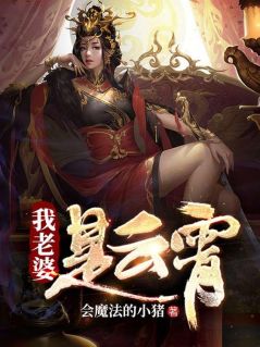 会魔法的小猪的小说_我老婆是云霄叶开云霄小说阅读