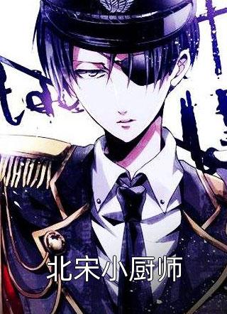 北宋小厨师南希北庆小说全章节最新阅读