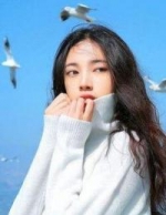 完结版小说顾北嘉沈木安by清风不识字免费阅读