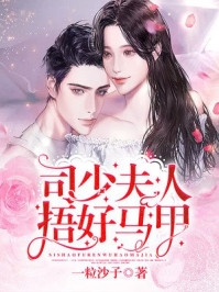 沐子衿全章节_司少夫人捂好马甲小说阅读