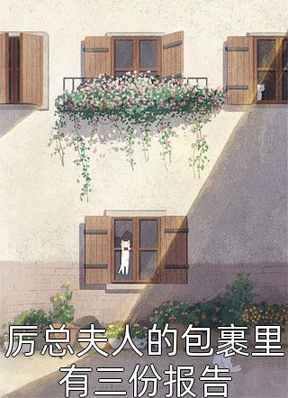 爆款小说笙笙不息《厉总夫人的包裹里有三份报告》在线阅读