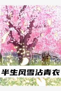 小说半生风雪沾青衣小说全章节免费阅读