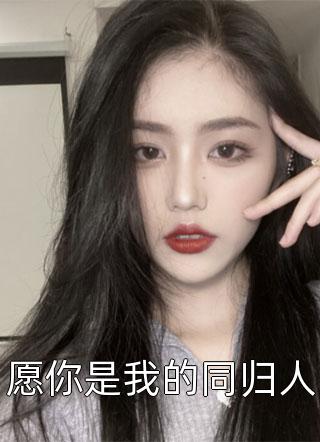 鱼十七写的小说愿你是我的同归人小说全文阅读