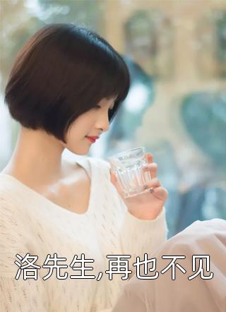 洛先生,再也不见老玖小说（完整版）阅读