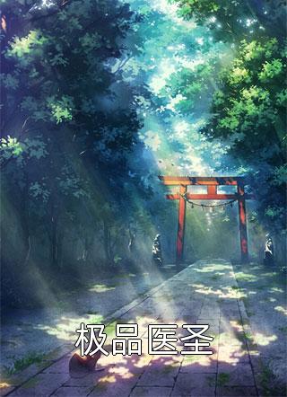 极品医圣蔡晋全本小说最新阅读