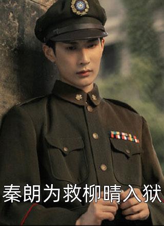 新上《秦朗为救柳晴入狱》冷彻小说免费阅读