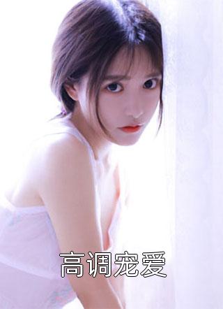 全章节小说高调宠爱笑佳人最新阅读