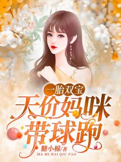 一胎双宝：天价妈咪带球跑全本小说一胎双宝：天价妈咪带球跑免费章节阅读