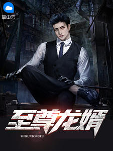 至尊龙婿咸鱼888在线阅读-至尊龙婿全文免费阅读