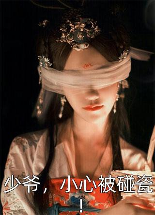 少爷，小心被碰瓷！精彩小说(夏姐姐)全章节阅读