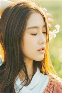 旧月的星全文阅读_安夷沈韫小说免费阅读