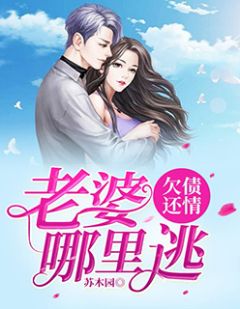 苏木园写的小说欠债还情：老婆哪里逃最新阅读