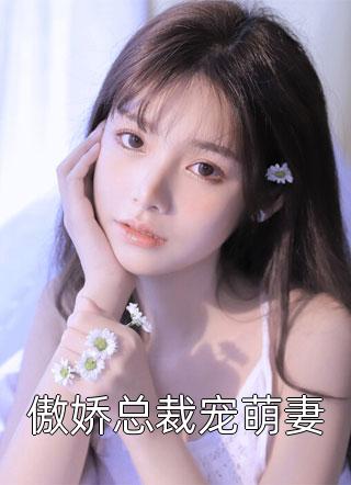 傲娇总裁宠萌妻小苹果12小说（完整版）阅读