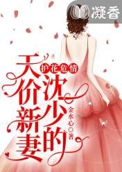 小说护花危情沈少的天价新妻第9章精选阅读