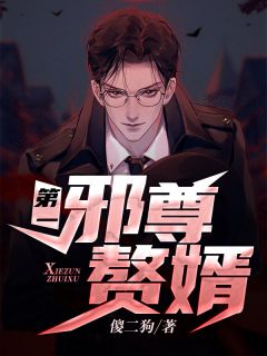 第一邪尊赘婿免费小说傻二狗全文阅读