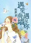 遇见南墙遇见你小说免费阅读