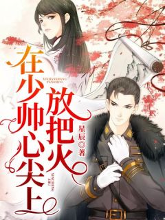 在少帅心尖上放把火星辰小说免费阅读