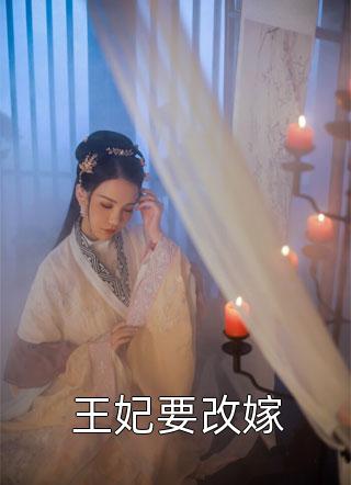王妃要改嫁陆如酒小说（完整版）阅读