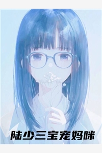 陆少三宝宠妈咪