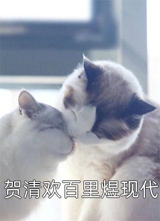 贺清欢百里煜现代晨露嫣然小说免费阅读